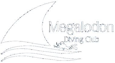 Megalodon Diving Club