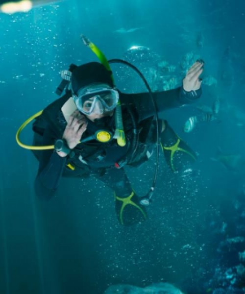 CERTIFIED DIVER COURSES